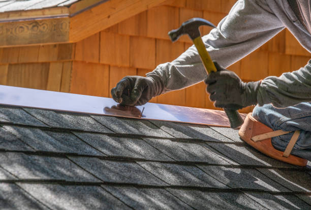 Best Roof Coating and Sealing  in Edina, MN