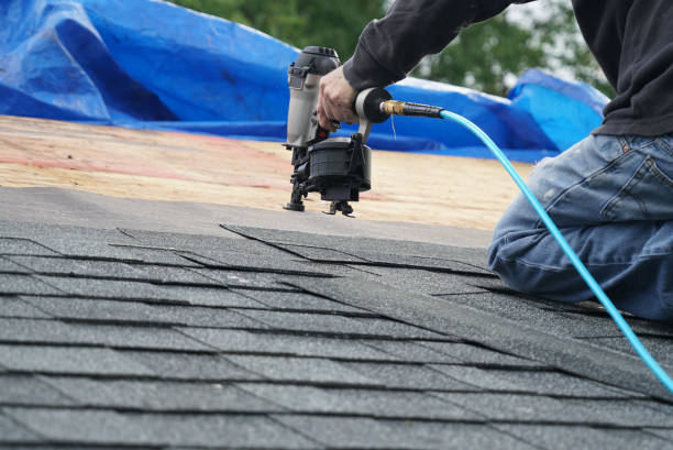 Asphalt Shingles Roofing in Edina, MN